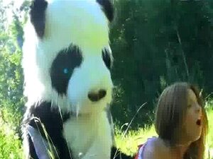 Peliculas porno gratis osos pandas Oso Panda De Peluche Porno Teatroporno Com