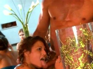 Show de folladas animado y sin domesticar